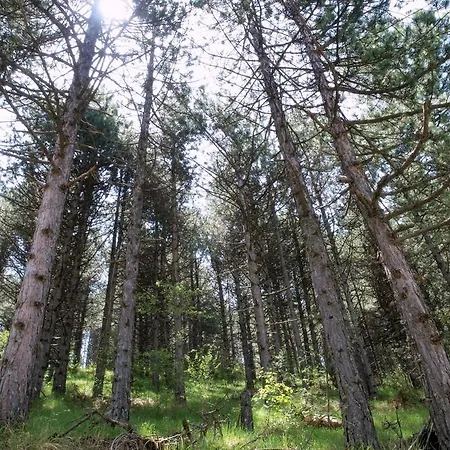 Hotel Ioannou Ptolemaida
